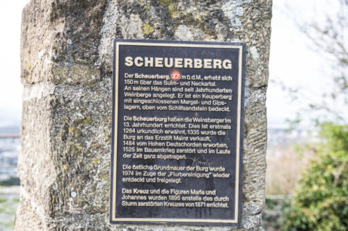 Scheuerberg Gipfel – 04/19